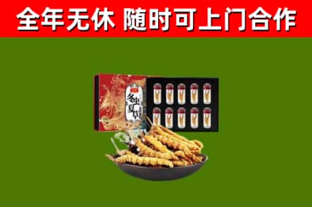 平陆县回收冬虫夏草价格